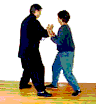 T'ai Chi Push Hands